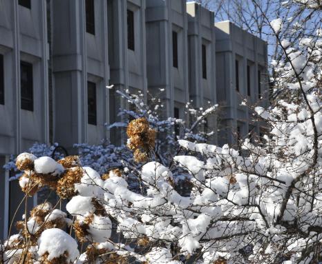 加南图书馆下雪